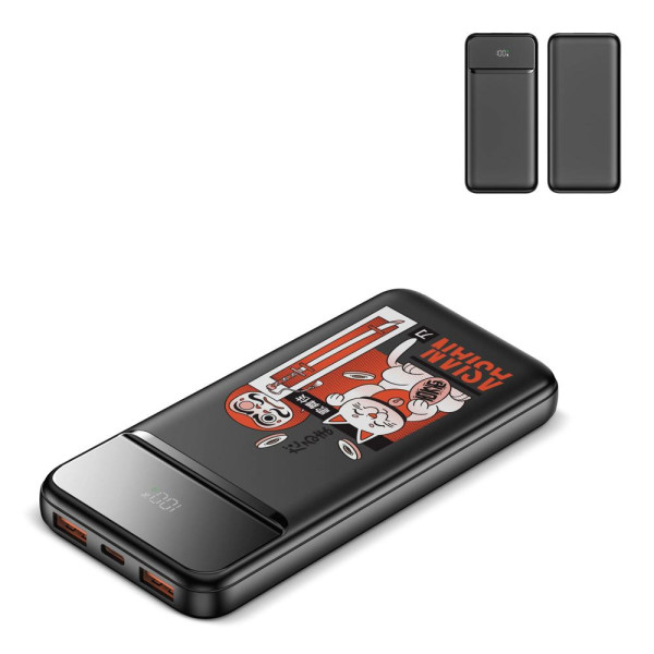 Nolu Powerbank mit LED-Anzeige 10.000 mAh